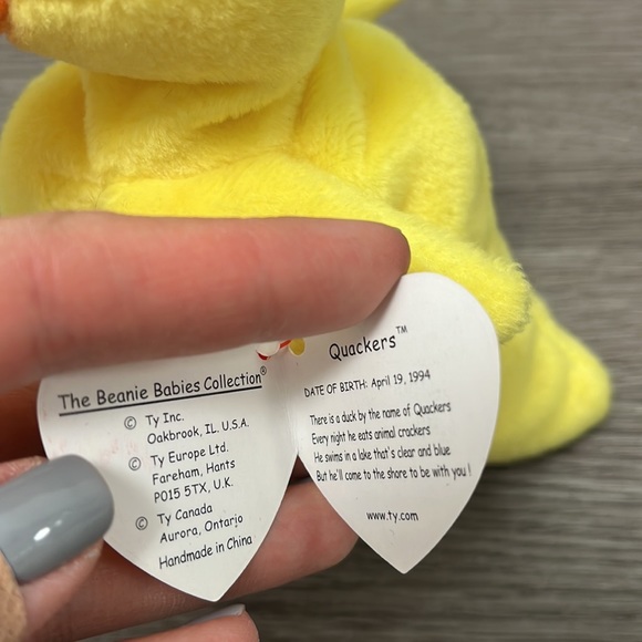 Beanie Babies Quakers the Duck - Picture 6 of 6